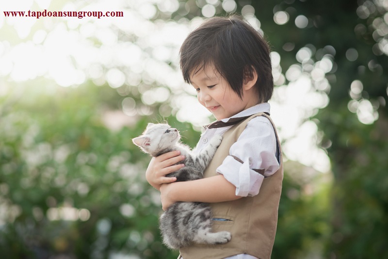 chung cư 58 t&acirc;y hồ chọn th&uacute; cưng