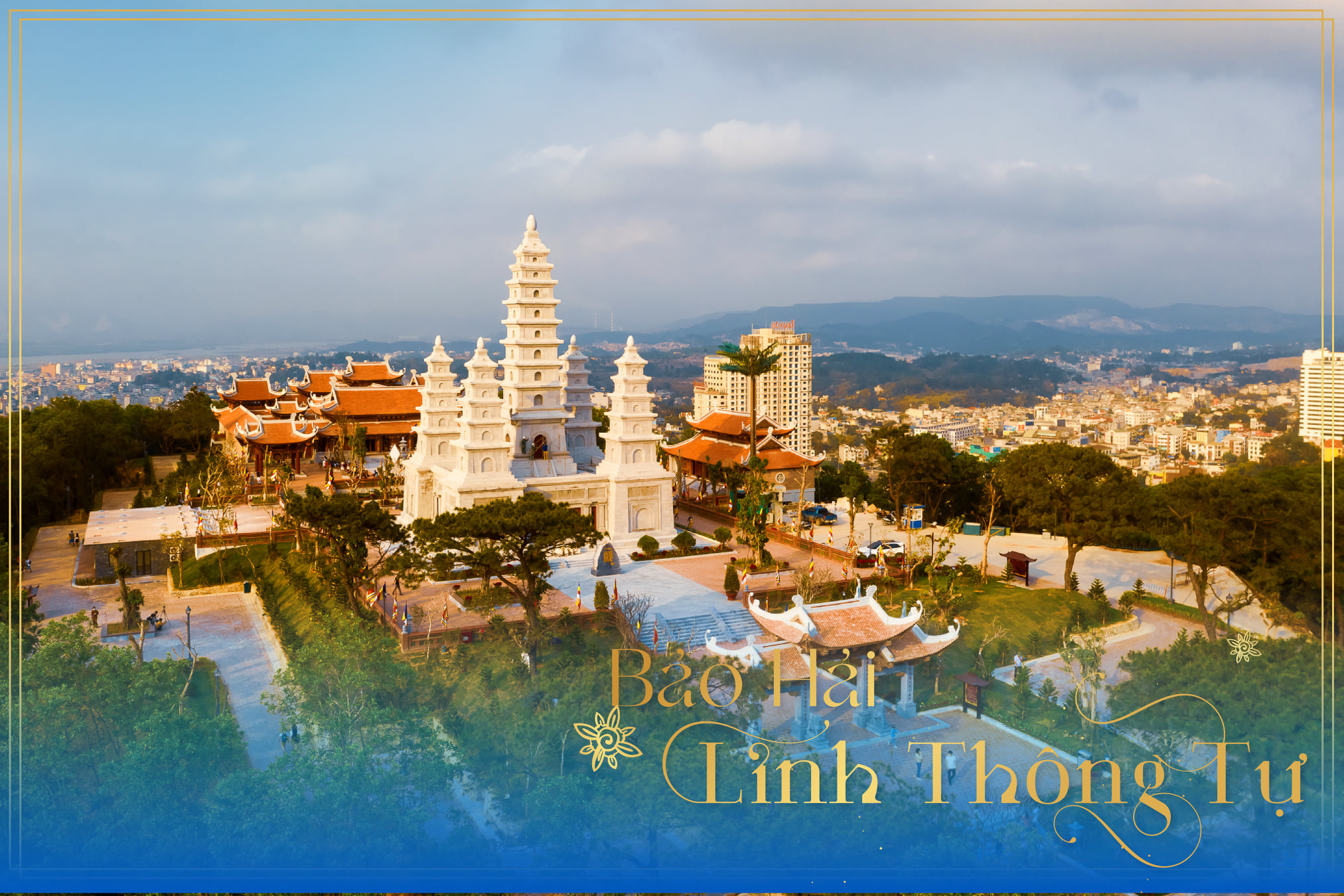 bảo hải linh th&ocirc;ng tự