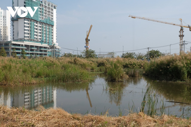 đấu gi&aacute; đất thủ thi&ecirc;m