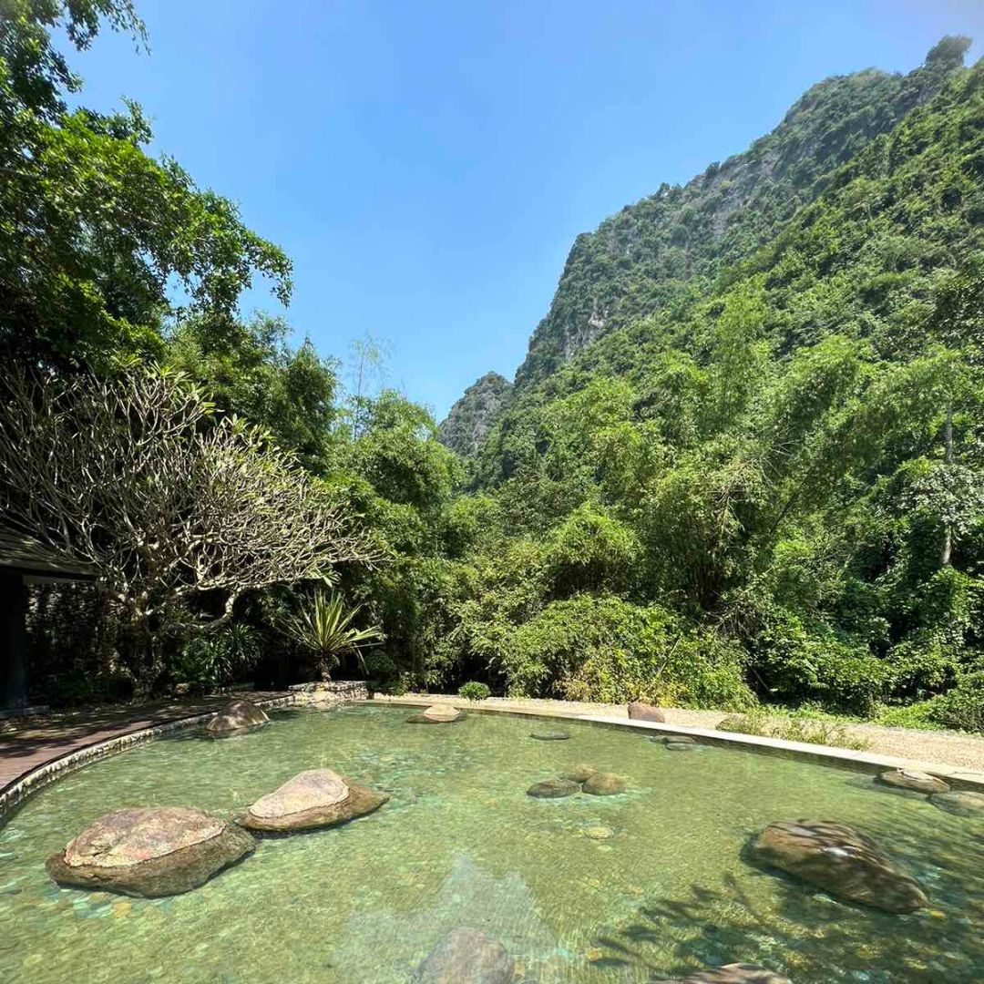 serena kim b&ocirc;i h&ograve;a b&igrave;nh